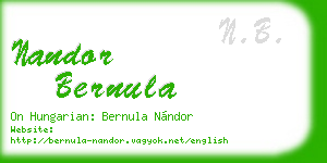 nandor bernula business card